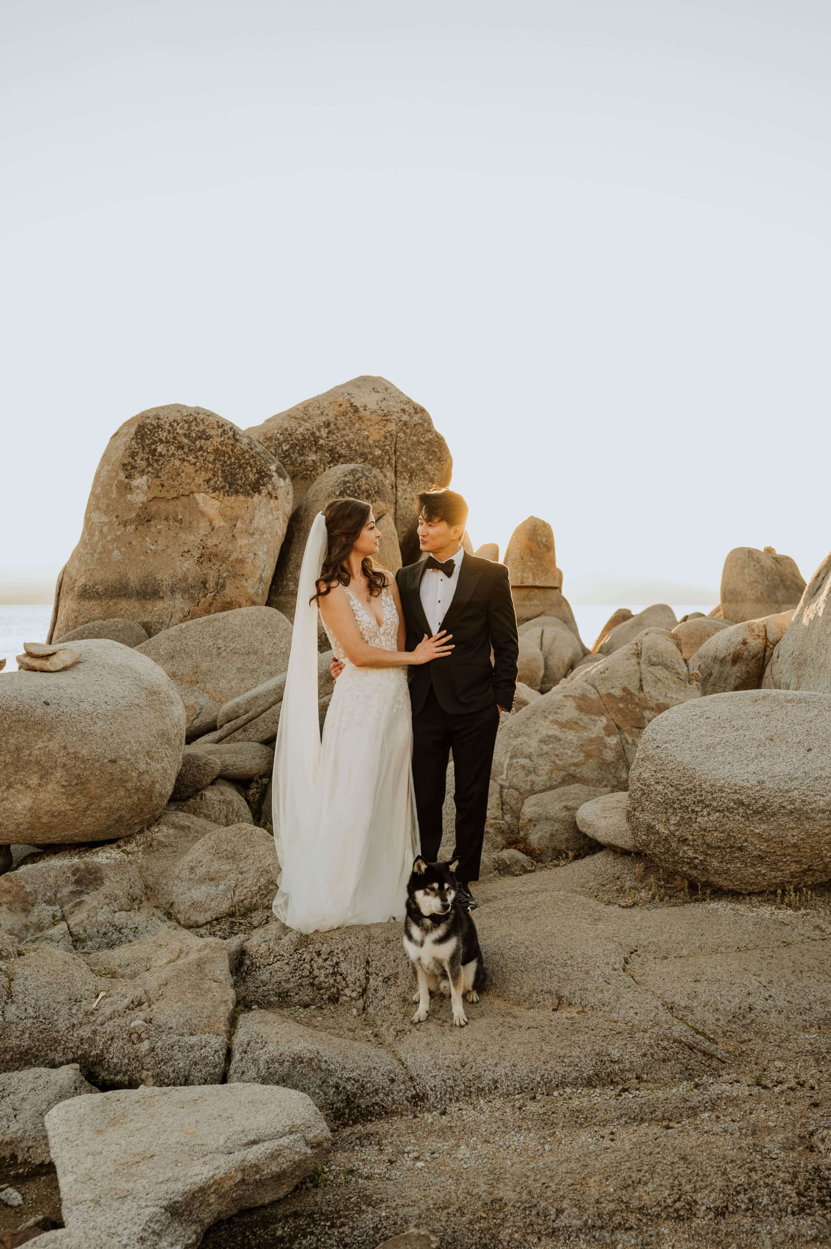 A couple eloping with their dog in Lake Tahoe, California